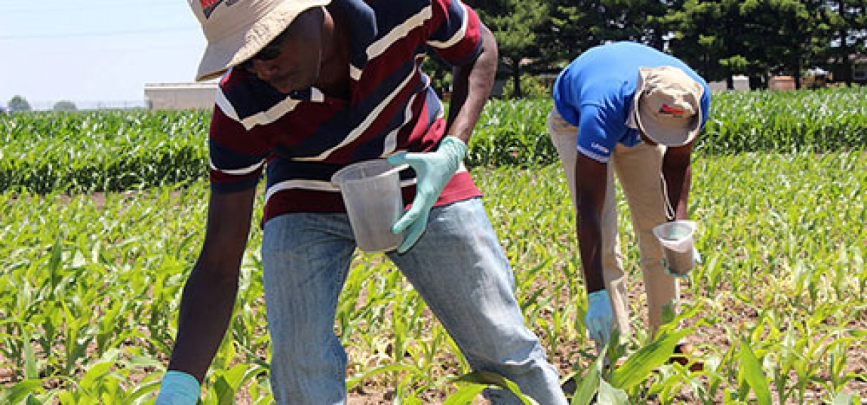 SAMAP biedt meer mogelijkheden voor kleine boeren
