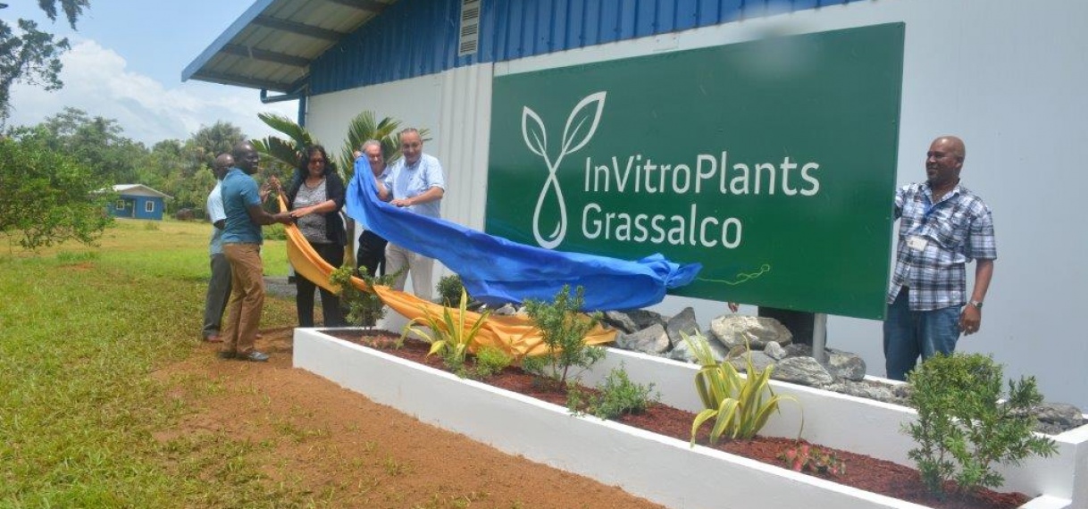 Grassalco neemt plantvermeerderings laboratorium in gebruik
