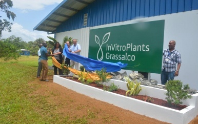 Grassalco neemt plantvermeerderings laboratorium in gebruik