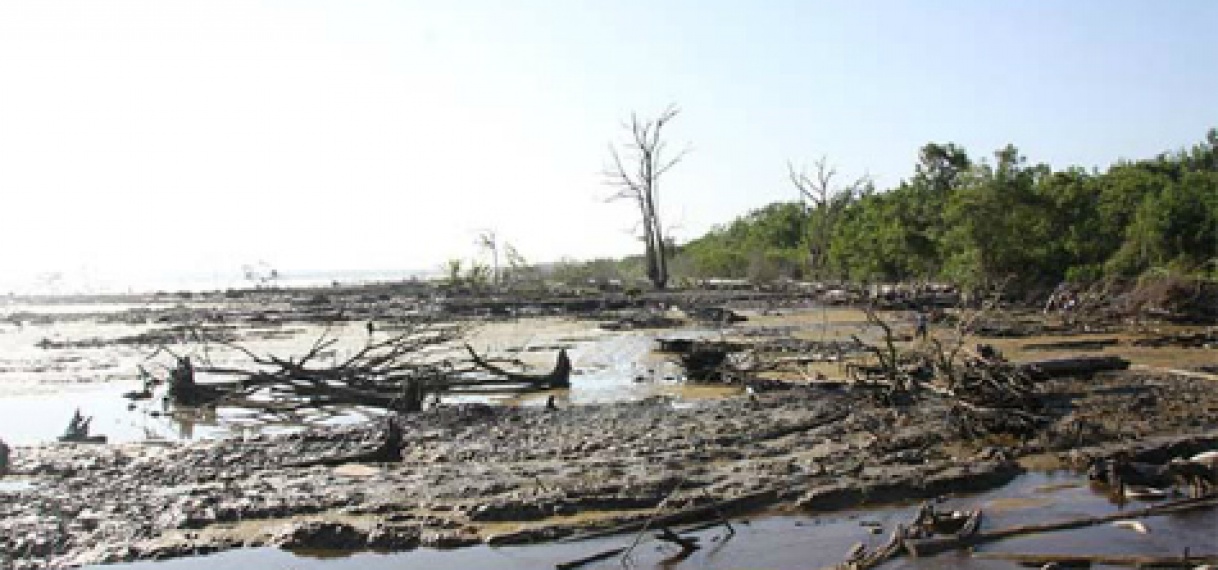 Naipal: “Milieuwet noodzakelijk voor Suriname”