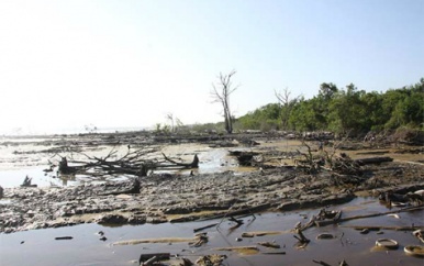 Naipal: “Milieuwet noodzakelijk voor Suriname”
