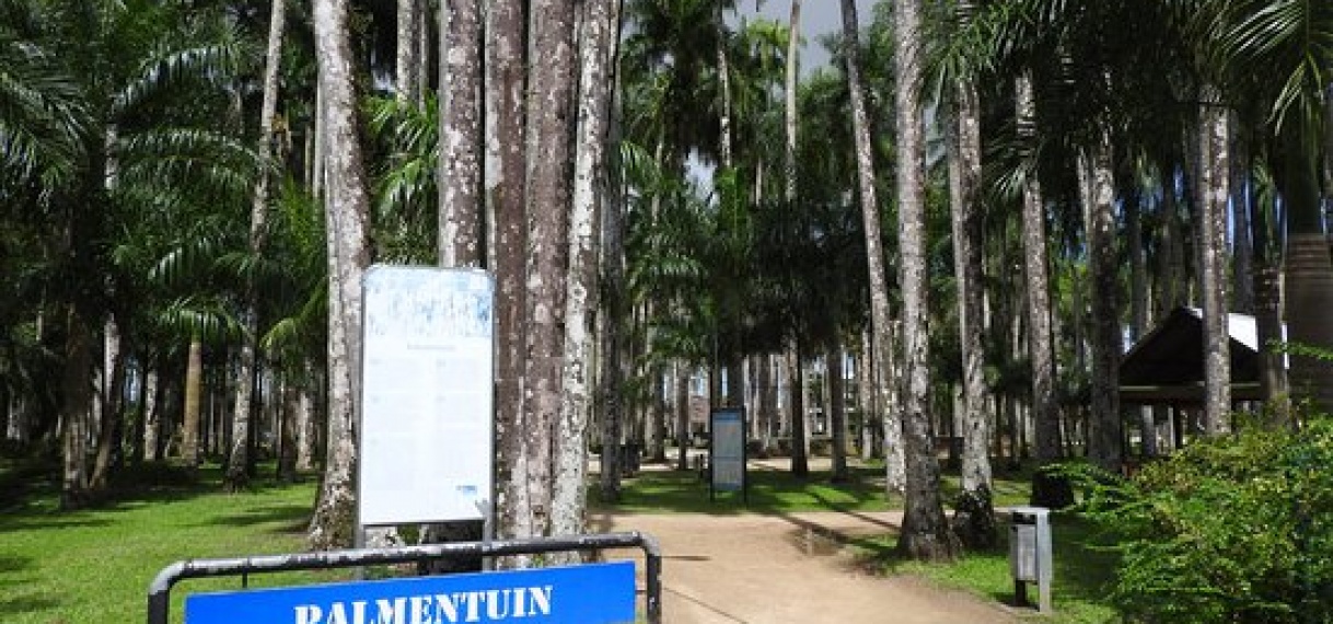 Palmentuin gesloten vanwege rehabilitatie werkzaamheden
