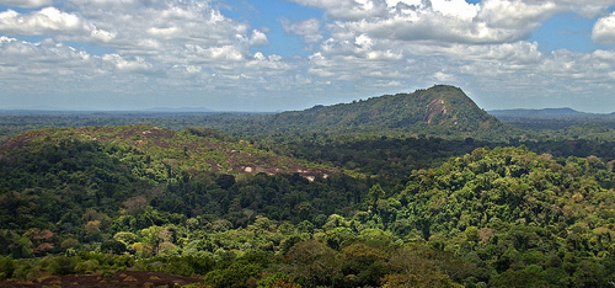 Milieuwet moet Surinaams bos beschermen