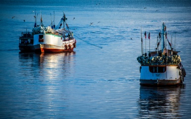 Zeepiraten slaan toe; groot aantal vissers nog vermist