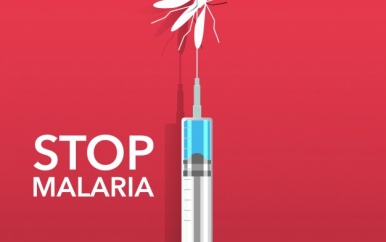 Importmalaria wordt consequent aangepakt