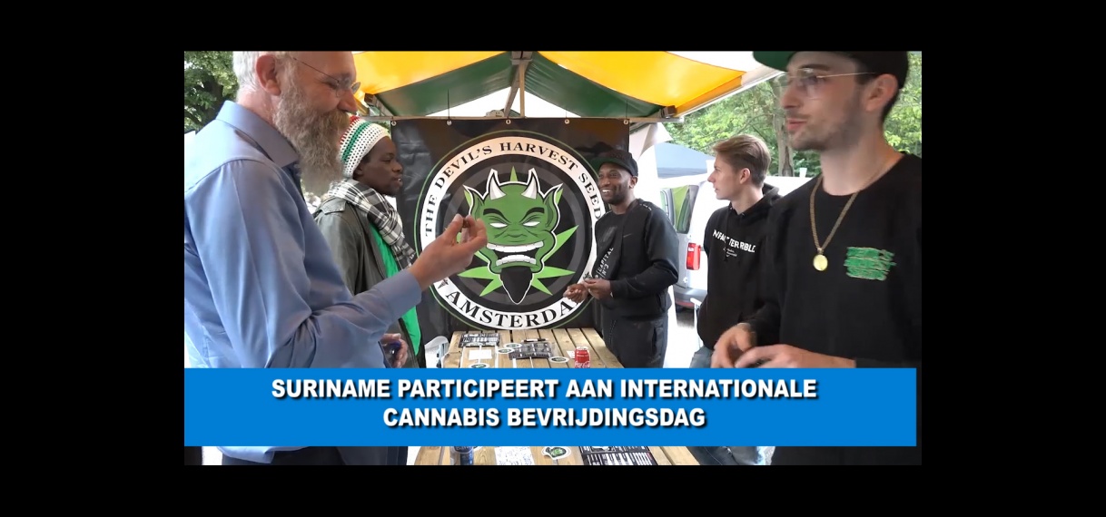 Suriname orienteert zich op Internationale Cannabis Bevrijdigsdag
