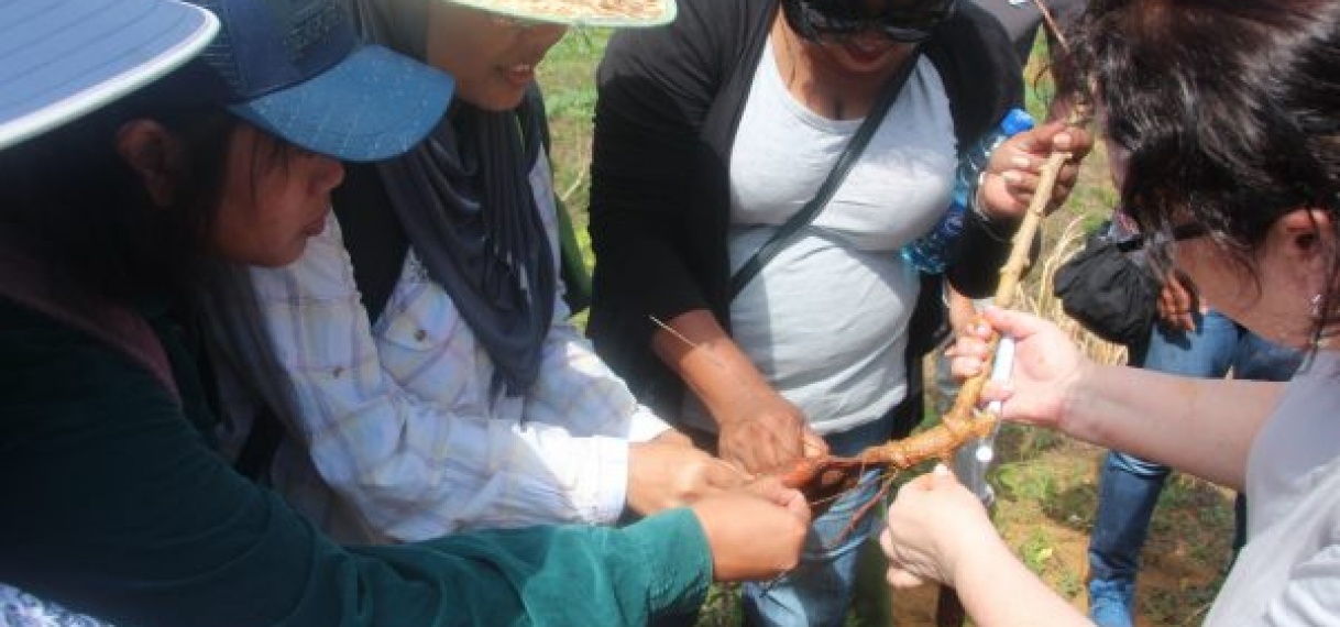 LVV workshop over Cassave Frog Skin Disease