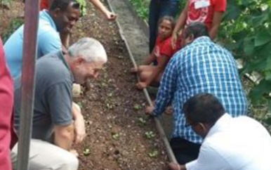 Kindertehuizen buiten Paramaribo krijgen plantenkassen