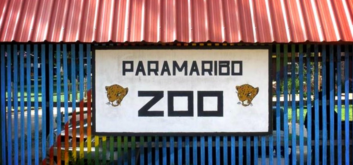 Paramaribo Zoo moet Biotopentuin worden