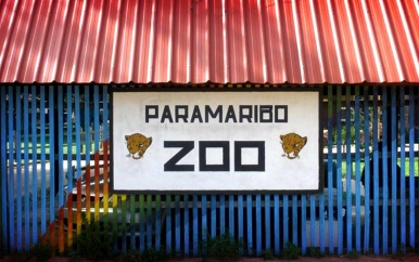 2019, een veel belovend jaar voor de Paramaribo Zoo