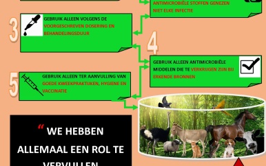 LVV promoot het zorgvuldiger gebruik van antibiotica binnen de veehouderij