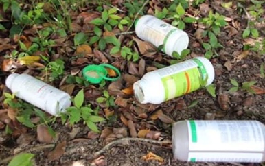 Suriname gastland regionale bijeenkomst pesticide controle