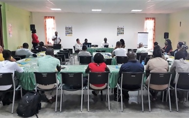 RO en UNDP trainen trainers rond SDG’s