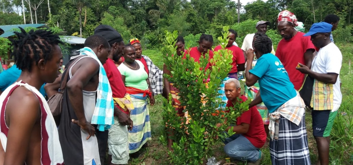 Tropenbos Suriname en LVV verruimen landbouwkennis bij de bewoners te Pikin Slee
