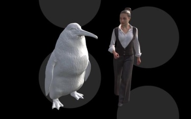 Fossielen van grote pinguïnsoort uit Nieuw – Zeeland ontdekt