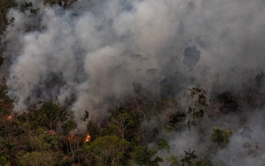De Braziliaanse regering heeft de hulp van de G7 bij het bestrijden van de grote bosbranden in de Amazone afgeslagen
