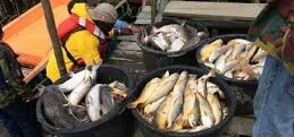 LVV staat achter ordening visserijsector