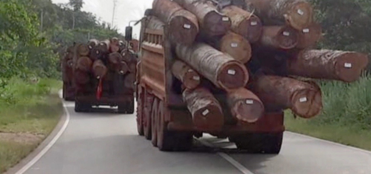 Ernstige waarschuwing voor transporteurs houtblokken Brownsweg