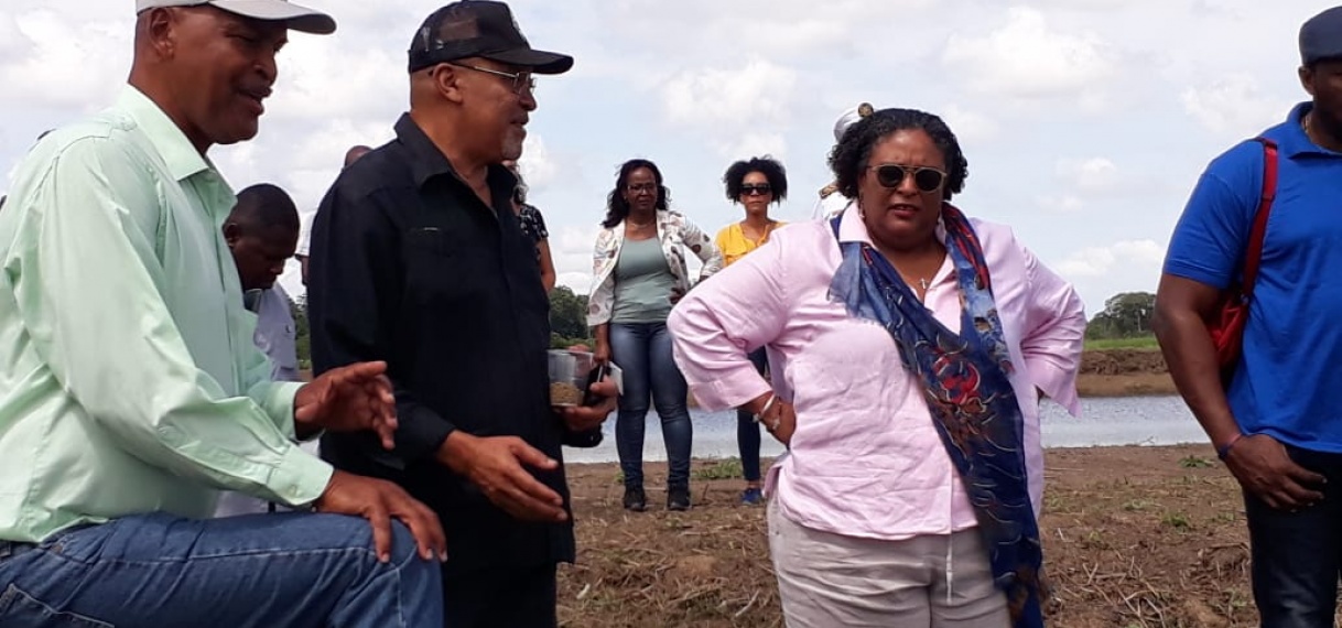 President Bouterse en premier Mottley krijgen rondleiding te Tawajarie landbouwproject