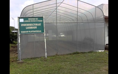 Transformatie toezicht op voedselveiligheid in Suriname