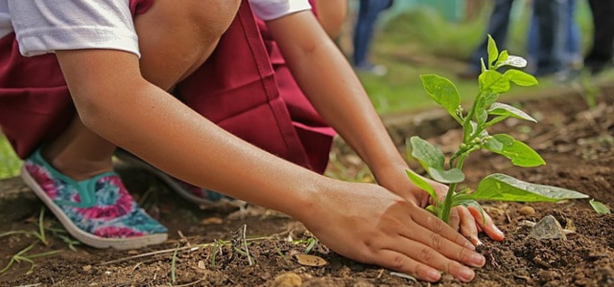 Stagiaires helpen kinderen aan moderne landbouw
