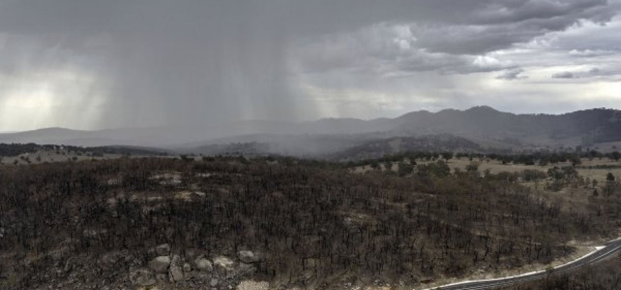 Brandweer Australië ‘extreem blij’: forse regenval blust natuurbranden
