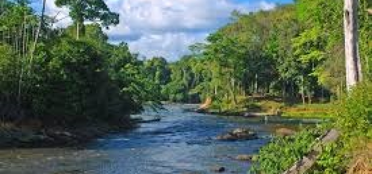 “Het milieu is niet alleen ons leven, maar ook ons overleven.”