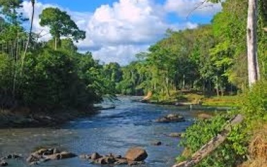 “Het milieu is niet alleen ons leven, maar ook ons overleven.”