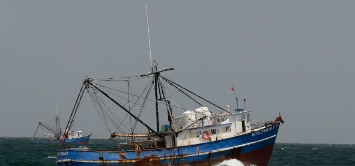 Seabob trawl visserij boekt significante vorderingen onder MSC-certificeringsvoorwaarden