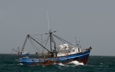 Seabob trawl visserij boekt significante vorderingen onder MSC-certificeringsvoorwaarden
