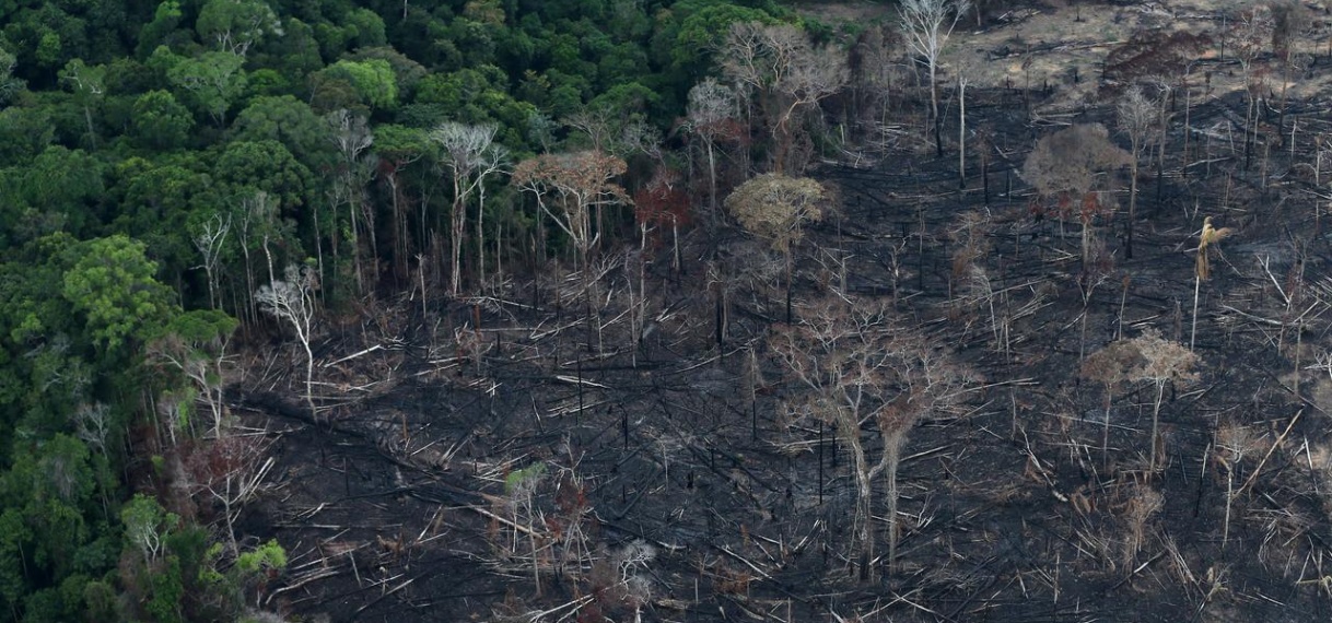 Meer Braziliaans Amazoneregenwoud gekapt in 2019 dan eerder gemeld