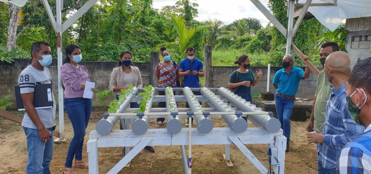 Landbouwvoorlichters en landbouwers Commewijne krijgen basistraining in hydroponic systemen