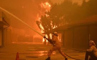 Grote natuurbranden teisteren Californië, tienduizenden evacuaties