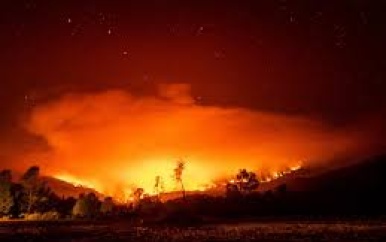 Bosbrand in Californië bereikt historische omvang van gigabrand