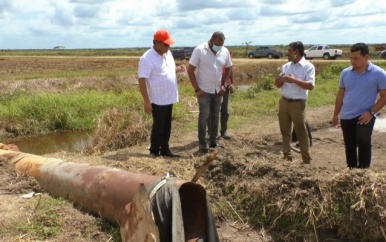 Minister Sewdien: Boeren let op je verantwoordelijkheid!