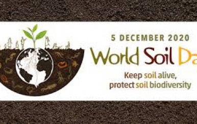 Wereldbodemdag 2020: de bodem in leven houden, de biodiversiteit van de bodem beschermen