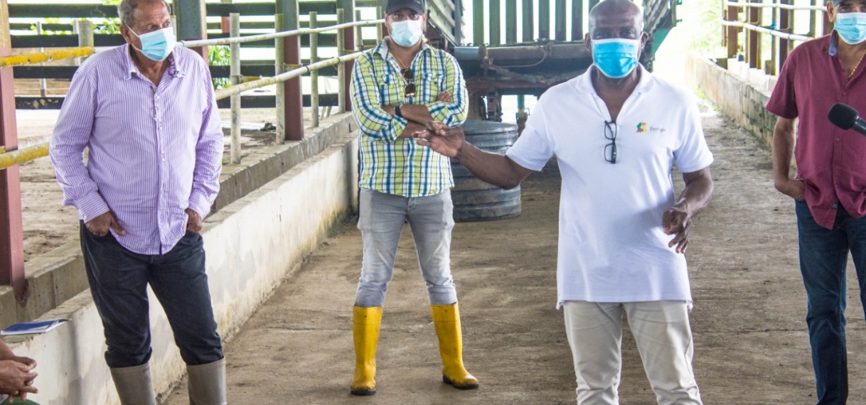 Bureau Eenheid ondersteunt inheemsen in diversificatie landbouw