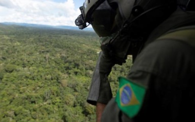 Stukken Amazoneregenwoud worden illegaal aangeboden op Facebook