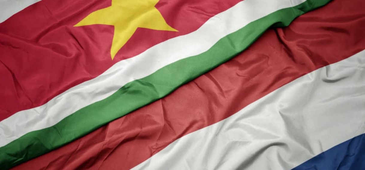 Surinamers in de Nederlandse-politiek