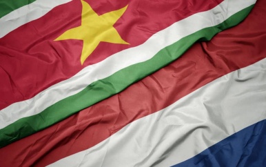 Surinamers in de Nederlandse-politiek