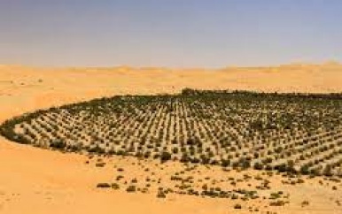 Saoedi-Arabië wil CO2-uitstoot terugdringen met 10 miljard nieuwe bomen
