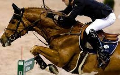 Verbod op paardenwedstrijden wordt per 12 april opgeheven
