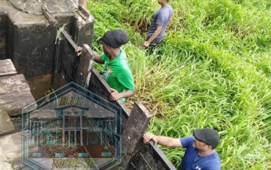 ”Drijfgras” zorgt voor wateroverlast in Wageningen