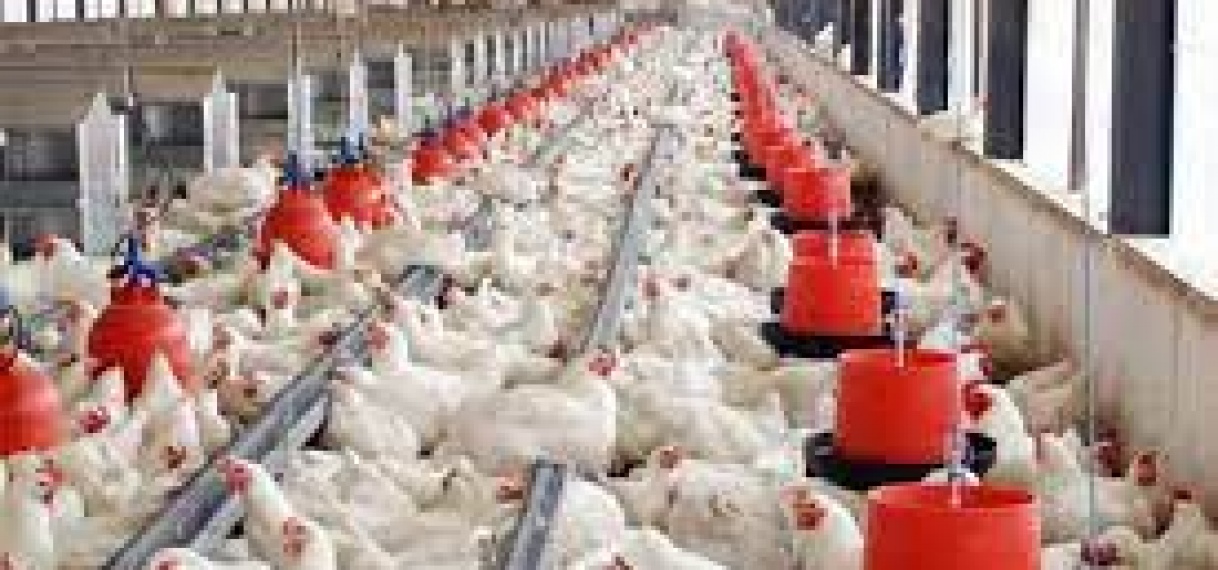 Prijs veevoer gestegen