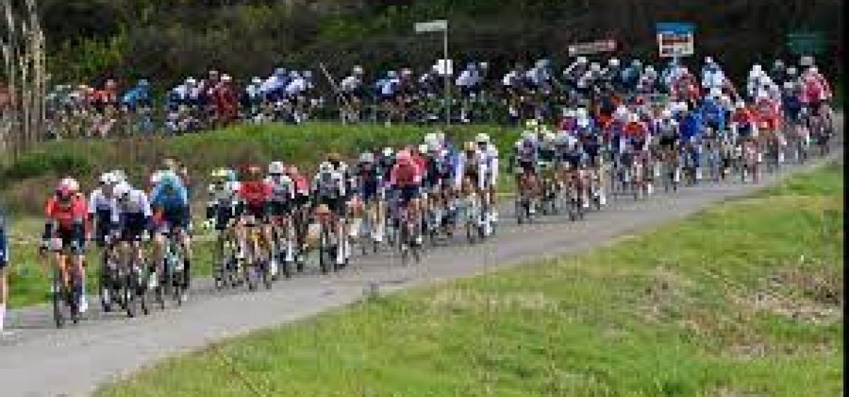 Alaphilippe klopt Roglic in Waalse Pijl na lange vlucht Lammertink