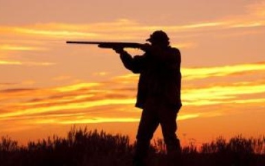 Twee verdachten aangehouden voor het jagen op beschermde vogels