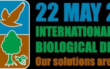 Wereld Biodiversiteit Dag 2021: Wij maken deel uit van de oplossing!