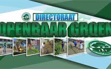 Directoraat Openbaar Groen ondergaat transformatie