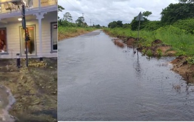 KUSTGEBIED NATTER DAN NORMAAL