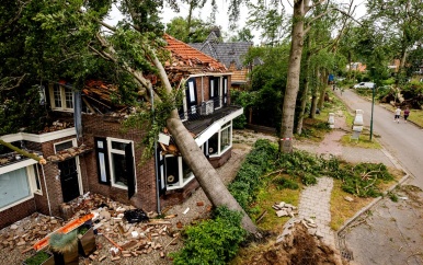 Zeker zes woningen in Leersum onbewoonbaar, duizenden bomen gesneuveld